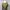 Y2K Unknown Japanese Pleats Longsleeve Women Tops photo 7