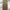 Dickies 874 Brown Losee Fit photo 1