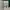 Komik Journey to the West (Visi, Kesetiaan, dan Kerja Sama) photo 2