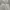 DeVENTI White Baggy Pants Wide Leg photo 7