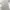 DeVENTI White Baggy Pants Wide Leg