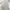 DeVENTI White Baggy Pants Wide Leg