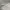 DeVENTI White Baggy Pants Wide Leg photo 8