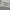 DeVENTI White Baggy Pants Wide Leg photo 6