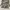 Samson Camouflage Cargo Pants  photo 6