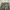 Samson Camouflage Cargo Pants  photo 7