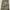 Samson Camouflage Cargo Pants  photo 10