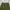 GLW Olive Green Baggy Pants Pecah Pola photo 7