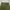 GLW Olive Green Baggy Pants Pecah Pola photo 9