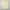 Vintage Polo Ralph Lauren Butter Yellow Button Down Shirt photo 3