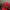 Casual Hat Pria red photo 1