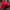 Casual Hat Pria red photo 5