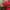 Casual Hat Pria red photo 2