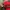 Casual Hat Pria Red