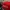 Casual Hat Pria red photo 4