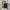 ADIDAS SKATEBOARDS X MARK GONZALES HOODIE LOGO BLACK ON BLAC photo 1