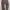 vintage Thrashed dickies "leopard" brown pants  photo 4