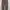 vintage Thrashed dickies "leopard" brown pants  photo 1