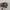 Anthony Realtree Hats By OutdoorCap