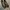 Stuart weitzman shoes photo 1