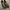 Stuart Weitzman Shoes