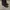 Melissa chelsea boots photo 1