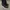 Melissa Chelsea Boots