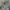 Item(s): Peppers Military Denim Jacket photo 3