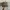 RMEF Team Distressed Realtree Hats A Frame photo 2