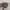 RMEF Team Distressed Realtree Hats A Frame
