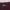 Cardigan burgundy  photo 5