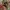 Jam tangan pria otomatis Rado diastar photo 2