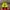 Nike Vaporfly next% 3 photo 5
