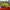 Nike Vaporfly next% 3 photo 4