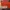 Nike Vaporfly next% 3 photo 8