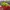 Nike Vaporfly next% 3 photo 2