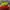 Nike Vaporfly next% 3 photo 1