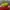 Nike Vaporfly Next% 3