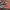 Nike Vaporfly next% 3 photo 7