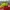 Nike Vaporfly next% 3 photo 3
