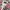 Houndstooth Pattern Coat  photo 3