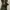 Y2K Converse Polkadot Canvas Emo Goth photo 6