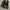 Y2K Converse Polkadot Canvas Emo Goth photo 5