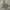 Lafudgestore Anorak Halfzip Jacket  photo 2