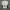 Castlex Golf Club Jacket photo 10