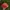 WEDA SKOG REALTREE | ORANGE CAP photo 5