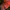 WEDA SKOG REALTREE | ORANGE CAP photo 8