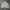 Woman Boxy Linen Jacket  photo 6