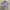 KAOS JERSEY DRIFIT FIFA OFFICIAL PURPLE photo 1