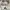 Jacket Harington Vintage Troy Bros Velvet Multi Pocket photo 6